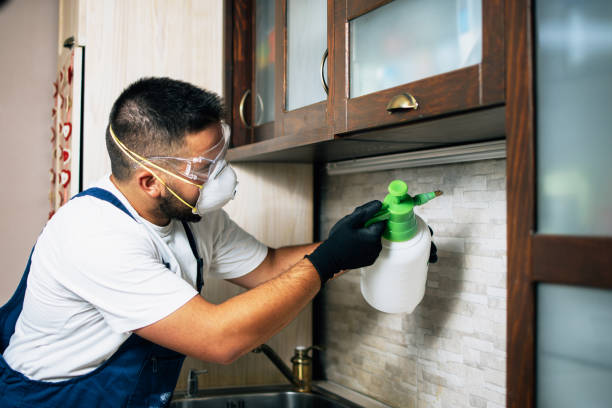Trusted Leetonia, OH Pest Control Experts