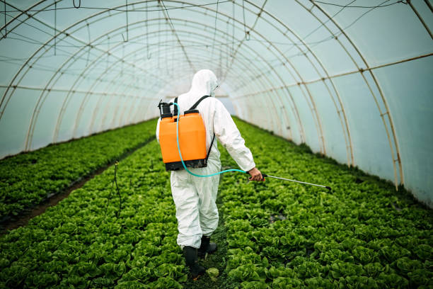 Best Affordable Pest Control Services  in Leetonia, OH