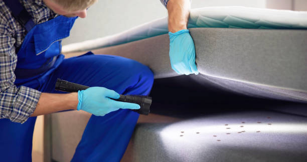 Best Pest Control for Restaurants  in Leetonia, OH