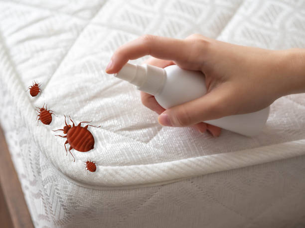 Pest Prevention Services in Leetonia, OH