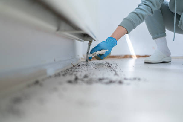 Best Spider Control Near Me  in Leetonia, OH